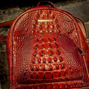Authentic Brahmin Mini Dartmouth Backpack